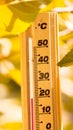 Isolated thermometer shows 20 degrees Celsius cold temperature in autumn season. Yellow, green, brown tree leaves in nature forest